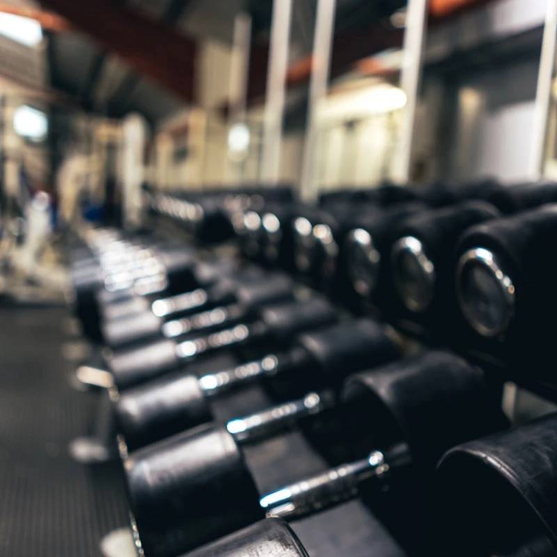 Cardio Equipment - Treadmills and Exercise Bikes